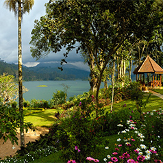 Ceylon Tea Trails Sri Lanka Honeymoon Packages Thumbnail