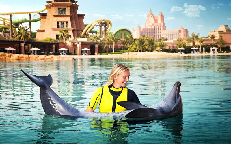 Top 10 Reasons To Go To Atlantis The Palm Dubai Dolphin Encounter