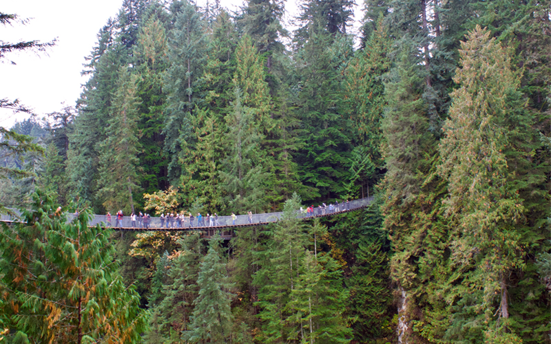 Canada Holiday Review Luxury Canada Holiday Packages Capilano Suspension Bridge