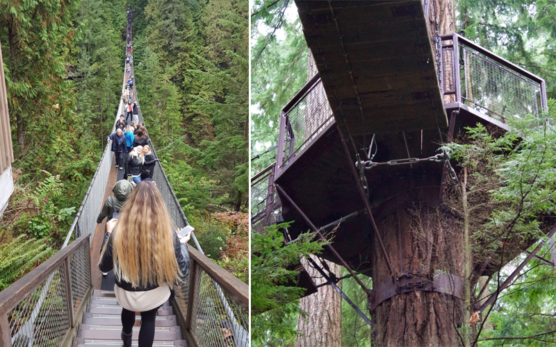 Canada Holiday Review Luxury Canada Holiday Packages Capilano Suspension Bridge 2