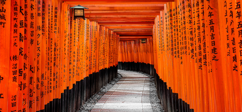 Luxury Japan Tailor Made Holiday Packages 10 Fun Things To Do In Japan Shrine