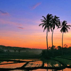 Bali holiday Packages The Laguna Bali Local Attraction3