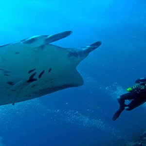 Bandos Maldives Luxury Maldives holiday Packages Scuba Diving