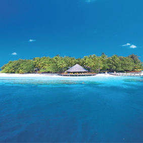 Luxury Maldives Holiday Packages Angsana Ihuru Island Resort Thumbnail