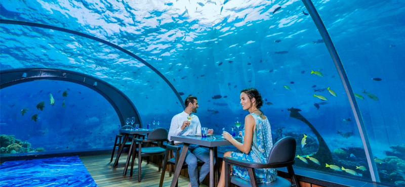 Luxury Maldives Holiday Packages Kudadoo Maldives Private Island 58 Undersea Restaurant