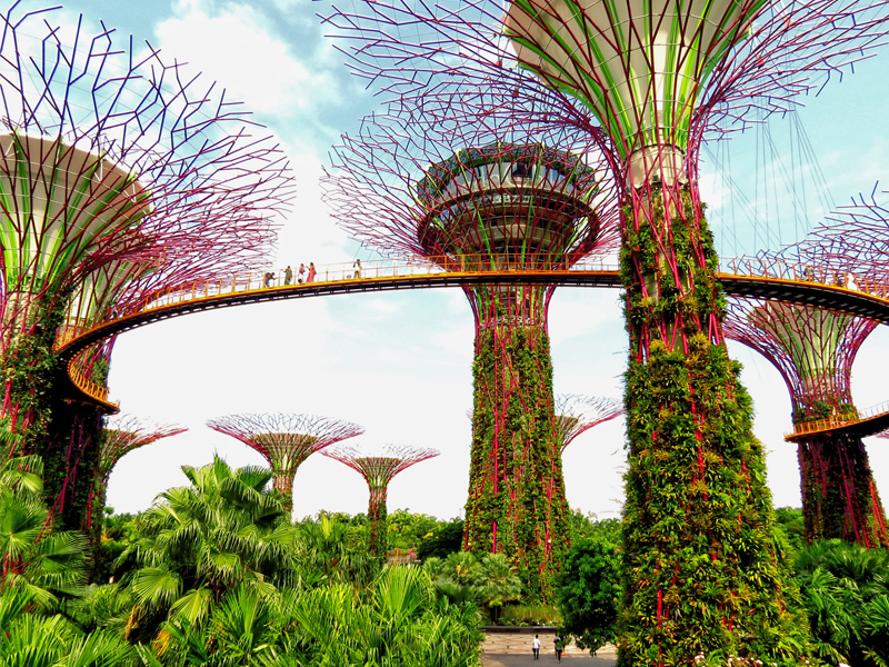 Top 10 Things To Do In Singapore Singapore Luxury Holiday Packages Gardens By The Bay