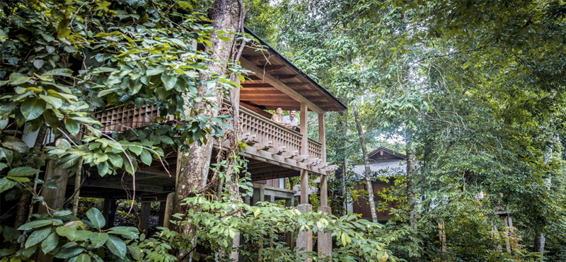 Luxury Malaysia Holiday Packages The Datai Langkawi Rainforest Villas