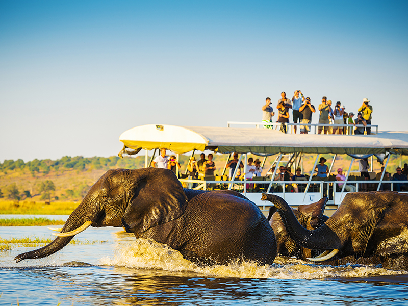 The Most Incredible Destinations For A Safari Holiday Botswana