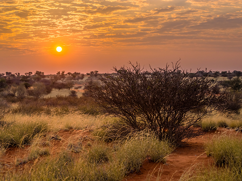 The Most Incredible Destinations For A Safari Holiday Botswana 2
