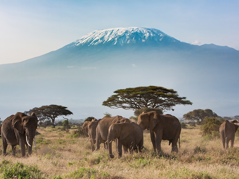 The Most Incredible Destinations For A Safari Holiday Kenya 2