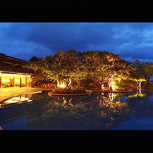 Cinnamon Wild Yala luxury Sri Lanka holiday Packages Night Pool