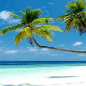 Luxury Maldives Holiday Packages Mercure Maldives Kooddoo Resort Beach