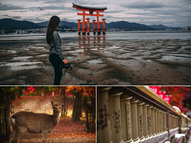 Miyajima Island Michelles Japan Holiday Luxury Japan Holidays And Tours Tailor Made Holiday Packages
