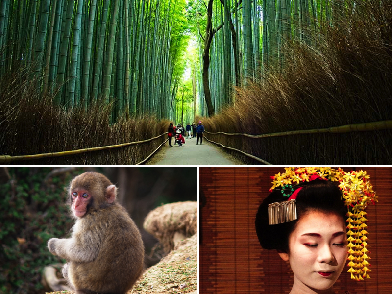 Kyoto 2 Michelles Japan Holiday Luxury Japan Holidays And Tours Tailor Made Holiday Packages