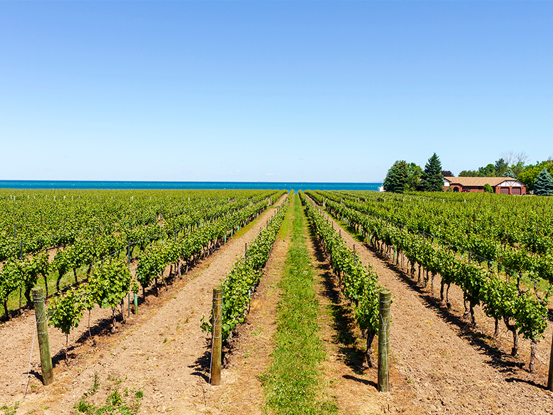 Wine Tours Niagara Best Times To Visit Canada Luxury Canada Holiday Packages