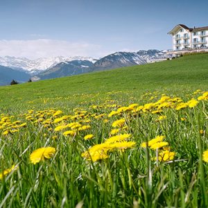 Luxury Switzerland Holiday Packages Hotel Villa Honegg Hotel Exterior1