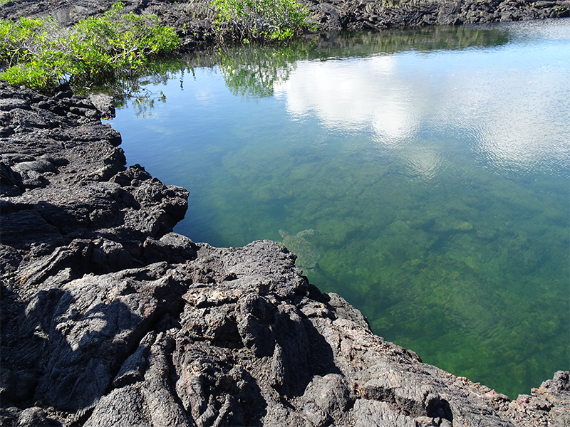 Luxury Galapagos Holiday Packages Espinoza