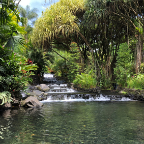 Luxury Costa Rica Group Tours South America Group Tour Packages Arenal 2