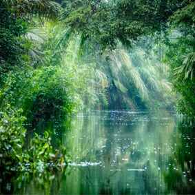 Luxury Costa Rica Group Tours South America Group Tour Packages Tortuguero