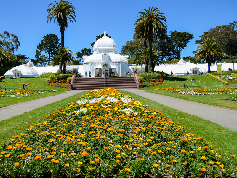 Top Things To Do In San Francisco Golden Gate Park