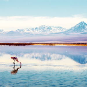 Atacama South America Holiday Packages