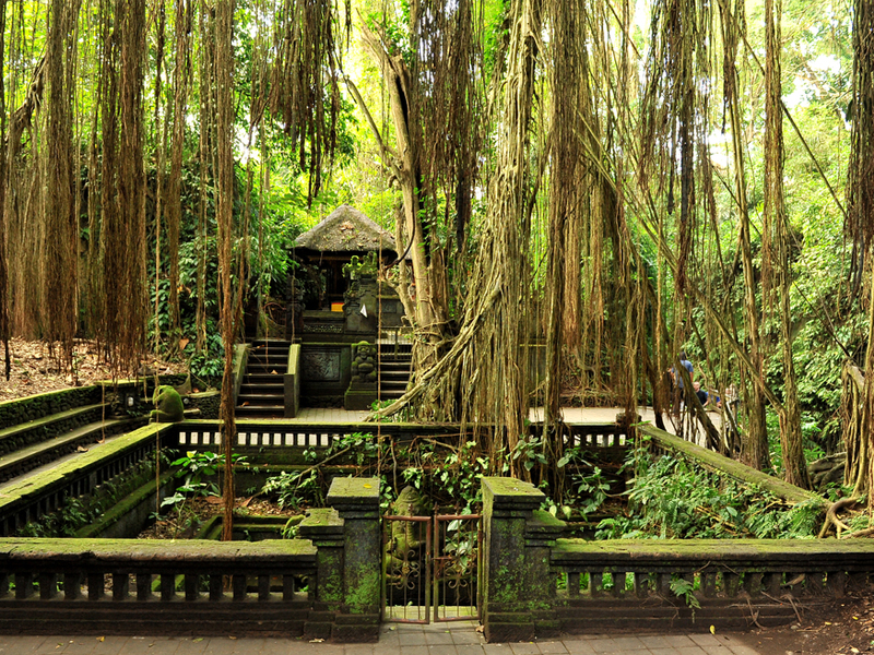 Monkey Forest Ubud Best Things To Do In Bali