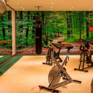 Luxury Dubai Holidays Le Meridien Mina Seyahi Gym 1