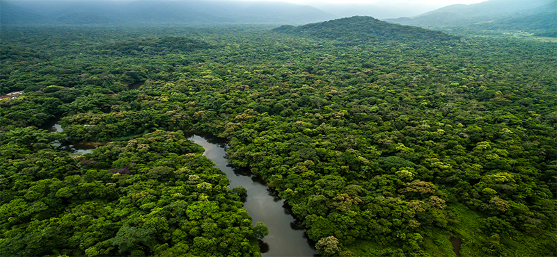 The Best Hikes In The World Cloud Forest