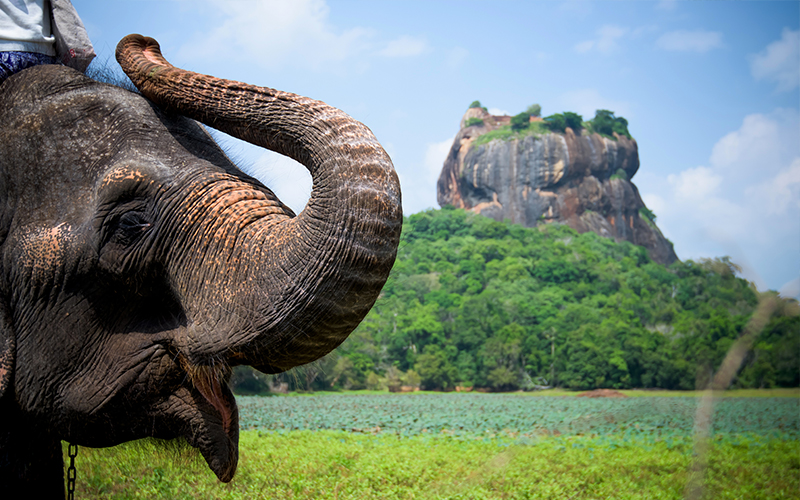 Best Luxury Destinations For 2021 Sri Lanka