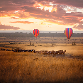 Hot Air Balloon Safari Over The Masai Mara Thumbnail