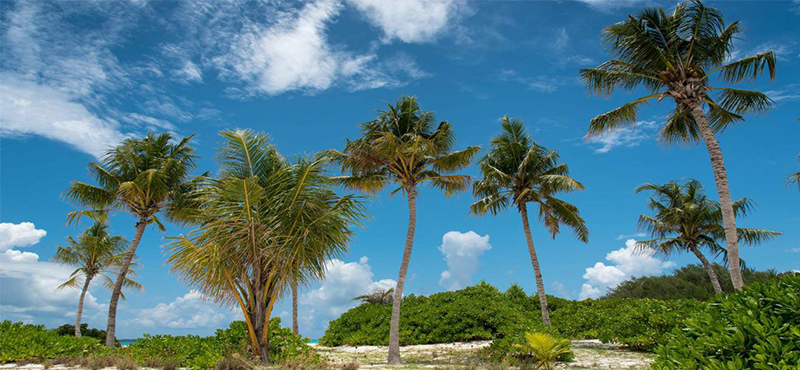 Luxury Maldives Holidays Hideaway Beach Resort Deluxe Sunset Beach Villa Pool