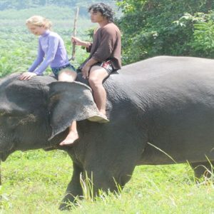 Luxury Thailand Holidays  The Sarojin Elephant Riding