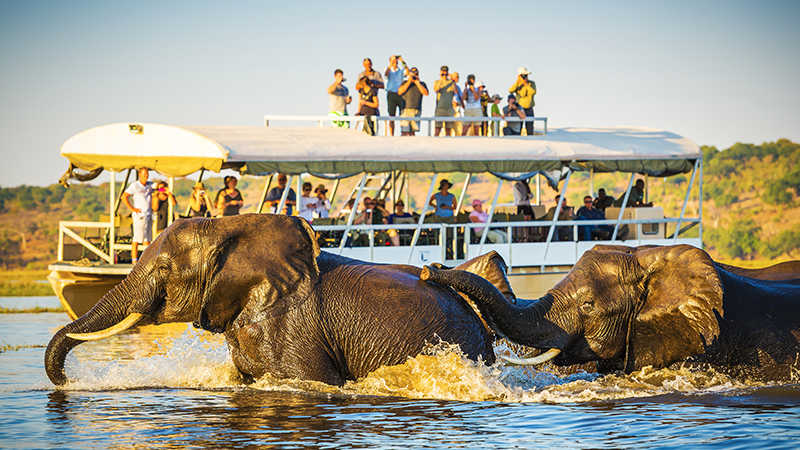 Chobe National Park Safari Holiday Packages