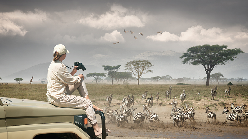 Serengeti National Park Safari Holiday Packages