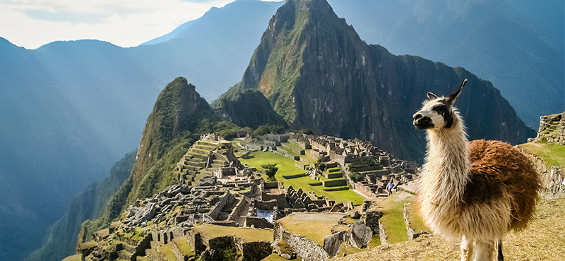 Machu Picchu With Llama Machu Picchu Holidays & Luxury Holidays