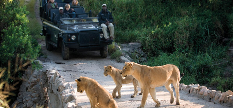 Lion Sands Game Reserve Safari Luxury Family Holidays