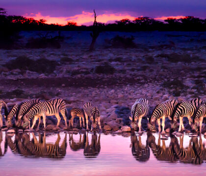 a picture of Botswana