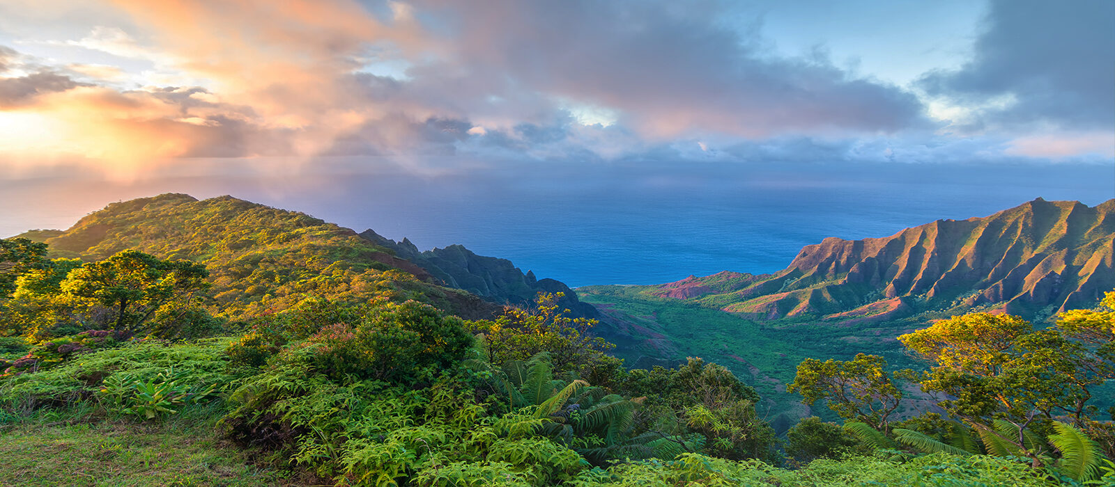 Best Time To Visit Hawaii Header PD